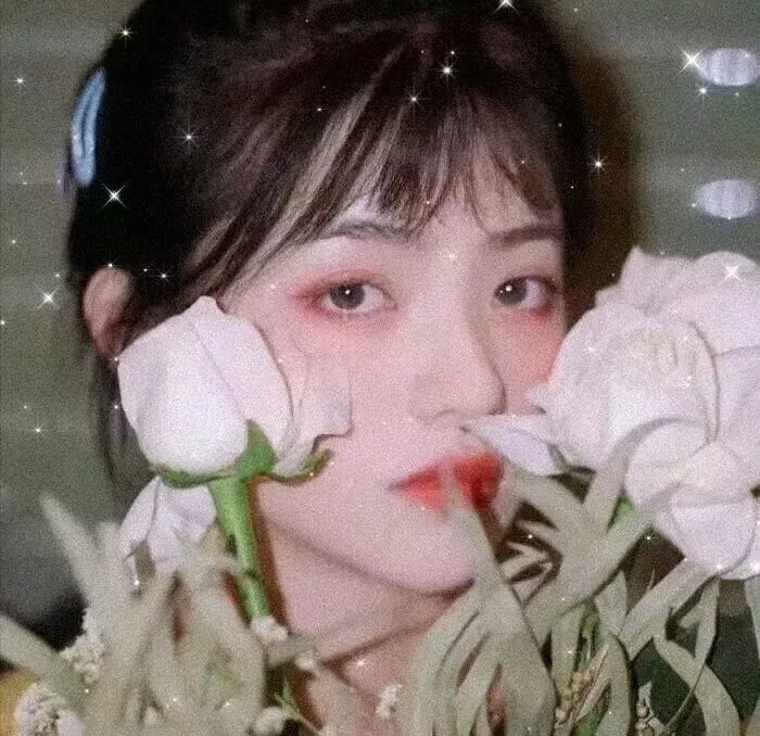 自古英雄出少年之岳飞 封面