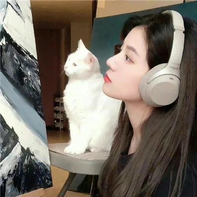 慕情 封面